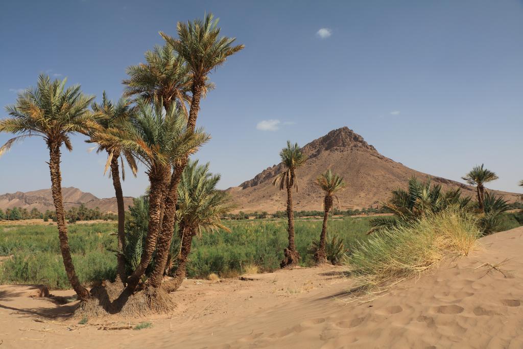 Dar Pienatcha Zagora Exterior foto