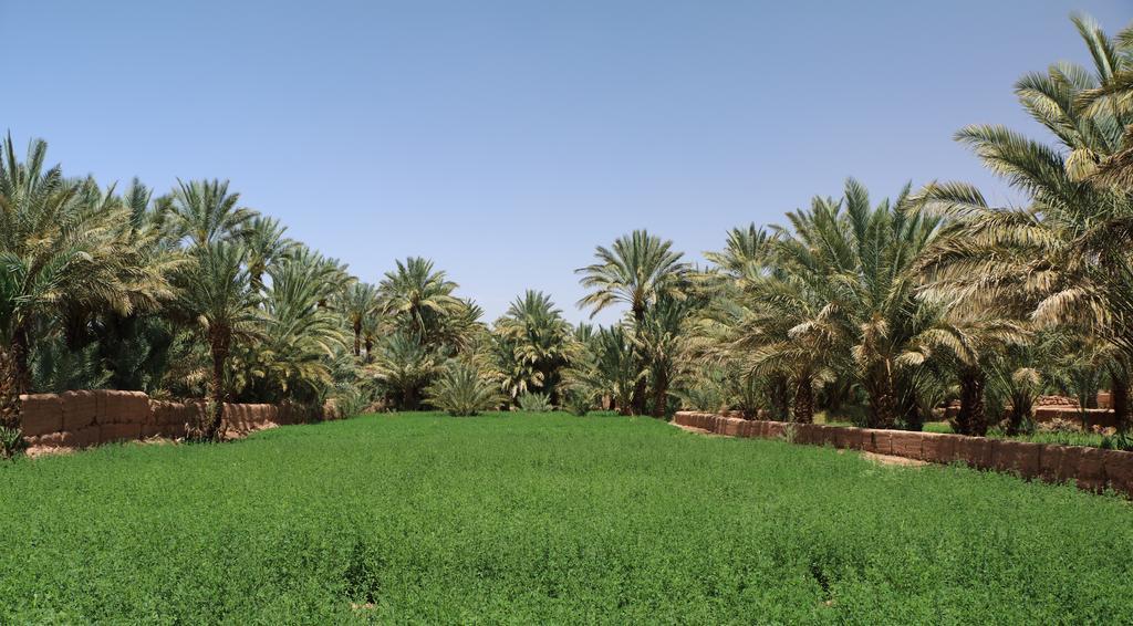 Dar Pienatcha Zagora Exterior foto